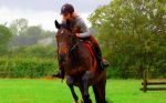 Horse Riding Camp in York