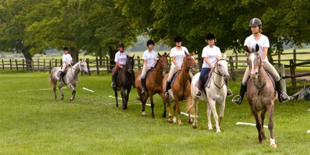 Horseback Riding Camp in Germany - Horse Riding Camps