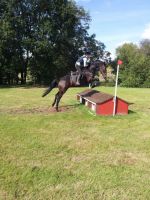 Horse Riding Programme with a Personalised English Course (All Levels)