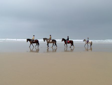 Horse Riding Programme with a Personalised English Course (All Levels) - Sports and English Camp