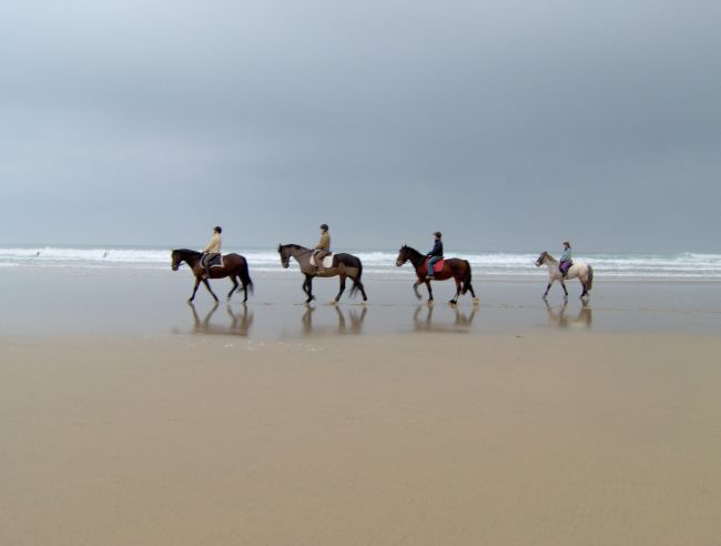 Horse Riding Programme with a Personalised English Course (All Levels) - Sports and English Camp