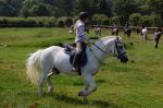 Horse Riding Camp in York