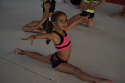 Gymnastics Camp. High - level formation through gymnastics - 