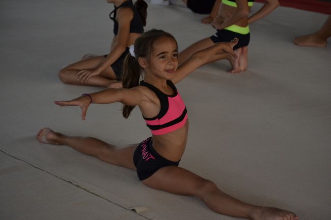 Gymnastics Camp. High - level formation through gymnastics - Dance-Course